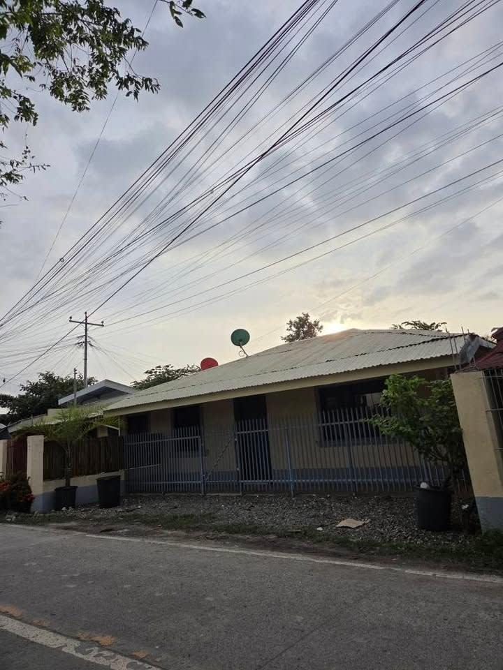 House For Rent - rental in Moalboal