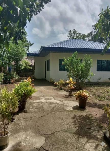 HOUSE FOR RENT – Madridejos, Bantayan Island - rental in Bantayan Island