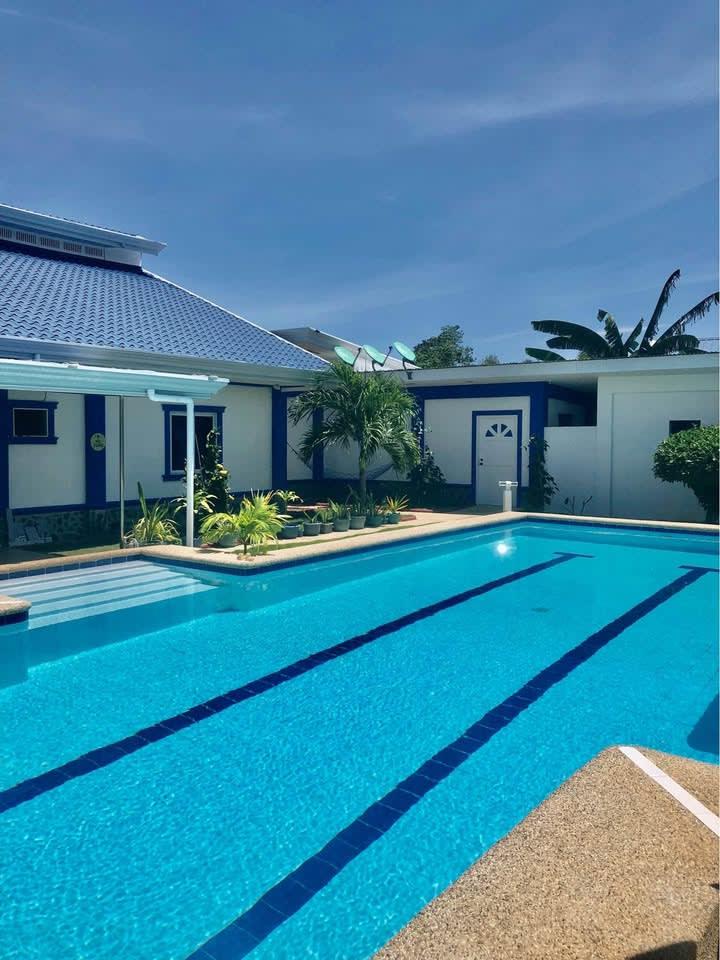 Bungalow -Studio - rental in Panglao