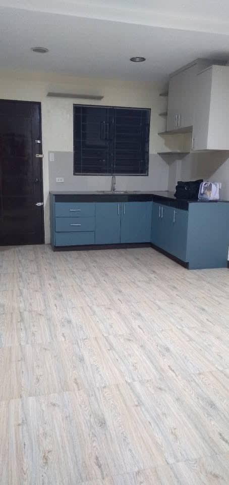 2 bedroom modern apartment for rent in manduriao - rental in Iloilo City