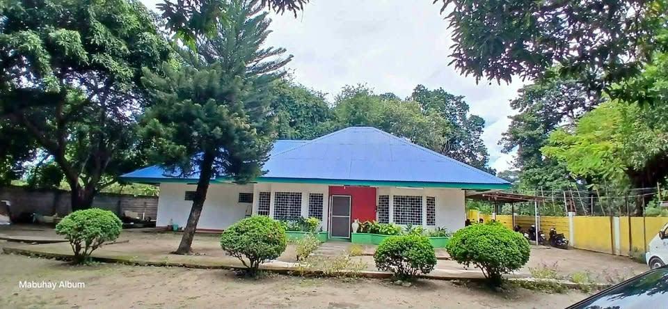 Big yard House for rent - rental in Dumaguete