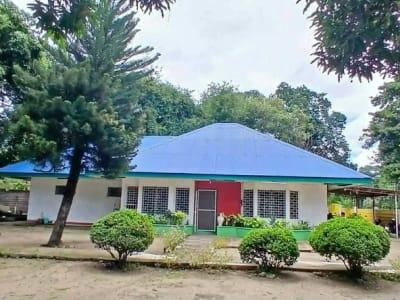 Big yard House for rent - rental in Dumaguete